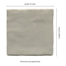 Zest Aloe Zellige Look Satin Ceramic Wall Tile - MSI Collection