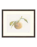 Pastel Orange I