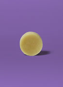Oat Protein & Honey- Smoothing Conditioner Bar