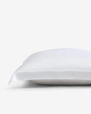 Premium Bamboo Viscose Euro Sham