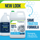 Drain and Fruit Fly Eliminator