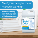 Pet Stain and Odor Eliminator