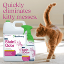 Cat Stain and Odor Eliminator