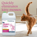 Cat Stain and Odor Eliminator