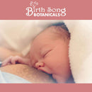 Nipple Salve Herbal Nipple Cream for Breastfeeding Comfort, Unscented