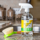 Natural Non-Toxic Stain Remover