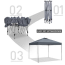 Ainfox 10 x 10 ft Pop-Up Canopy  Patio Canopy With 4 Sand bags For Patio,Garden,Party