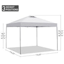 Ainfox 10ft X10ft Ventilated Top Patio Canopy For Outdoor With Four Sandbags