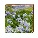 OBO1C1C-1 | Wall Art Print on Real Wood