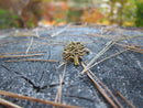 Oak Tree Gold Lapel Pin