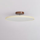 Drift Adjustable Ceiling Lamp