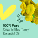 Organic Blue Tansy Essential Oil