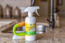 Natural Non-Toxic Stain Remover