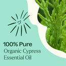 Organic Cypress Essential Oil