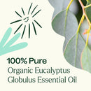 Organic Eucalyptus Globulus Essential Oil