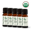 Organic Eucalyptus Globulus 5-Pack