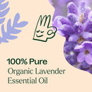 Organic Lavender 5-Pack