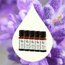 Organic Lavender 5-Pack