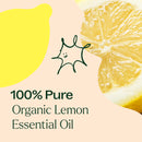 Organic Lemon 5-Pack