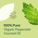 Organic Peppermint 5-Pack