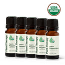 Organic Peppermint 5-Pack