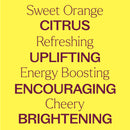 Organic Sweet Orange 5-Pack