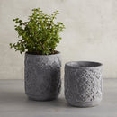 Ornate Heavy Concrete Vase Planter | Baroque Home Vase Decor 6.70" Tall