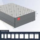 Regency II Firm (FLOOR SAMPLE)