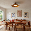 Oscar Flat-Panel Ceiling Light