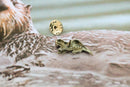 Otter Lapel Pin