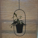 Oval Planter in Matte Black | Minimalist Metal Hanging Planter | 7" x 15"