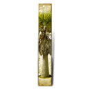 Graceful Palm Tree Interior Large | Wall Art Print on Real Wood