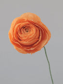 Ranunculus Single Stem | Paper Flower Decor