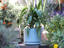 Mid Modern Planter With Detached Saucer By Plantatorem