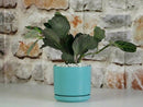 Mid Modern Planter With Detached Saucer By Plantatorem