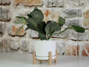 Mid Modern Planter With Detached Saucer By Plantatorem