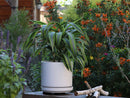 Mid Modern Planter With Detached Saucer By Plantatorem