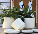 Mid Modern Planter With Detached Saucer By Plantatorem