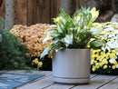 Mid Modern Planter With Detached Saucer By Plantatorem