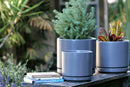 Mid Modern Planter With Detached Saucer By Plantatorem