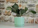 Mid Modern Planter With Detached Saucer By Plantatorem