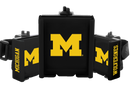 NCAA - Michigan