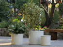Sprout Pot