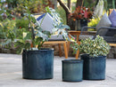 Sprout Pot