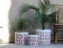 Fern Planters By Plantatorem
