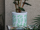 Fern Planters By Plantatorem