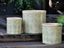 Fern Planters By Plantatorem