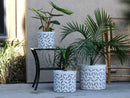 Crock Jar Planter By Plantatorem