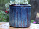 Peony Pot