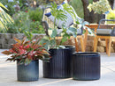 Peony Pot